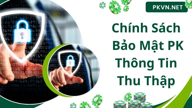 Các thông tin thu thập