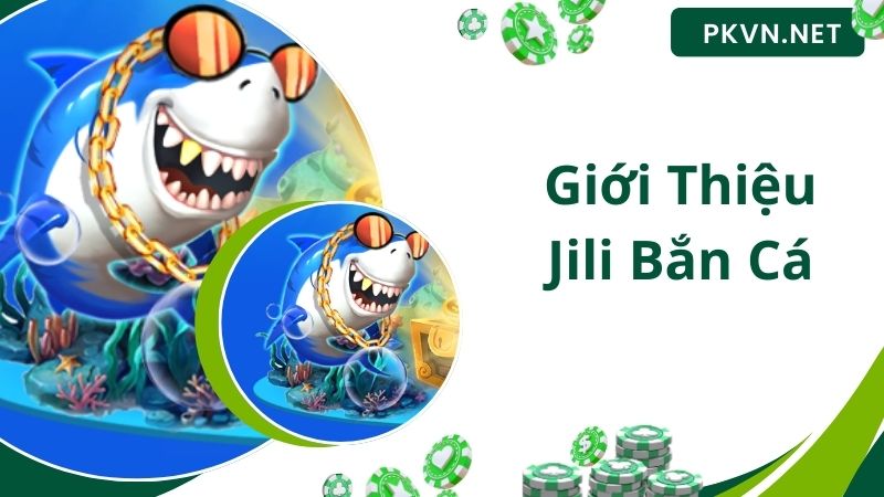 Giới thiệu về sảnh chơi