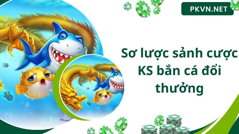 Sơ lược sảnh cược KS bắn cá đổi thưởng