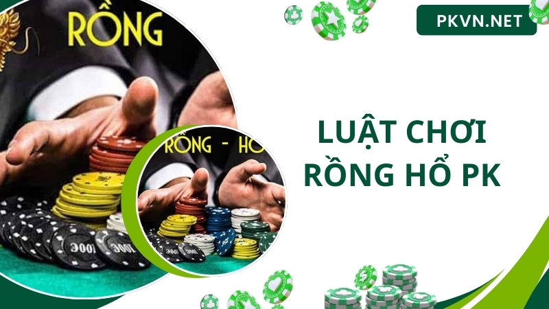 Luật chơi rồng hổ PK cần biết